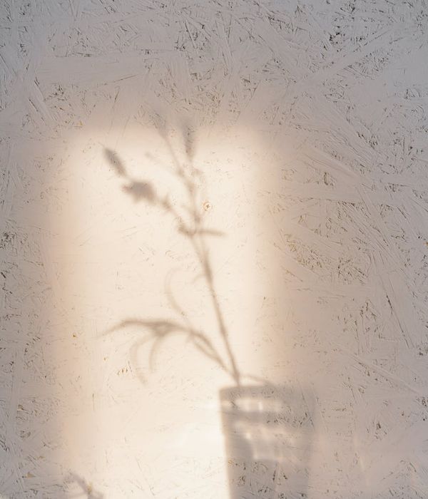 Person practicing yoga in a minimalist room with natural light.