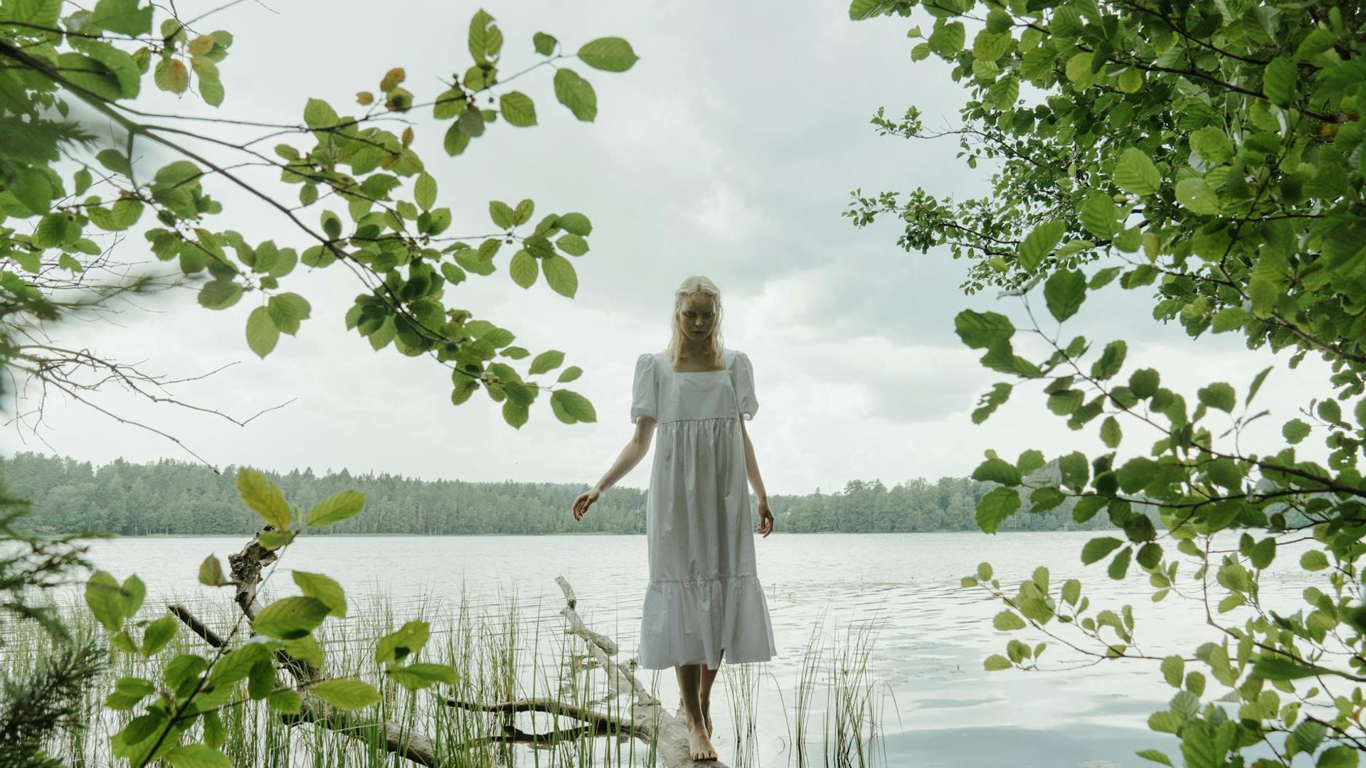 Serene landscape with soft light suggesting calmness and balance.